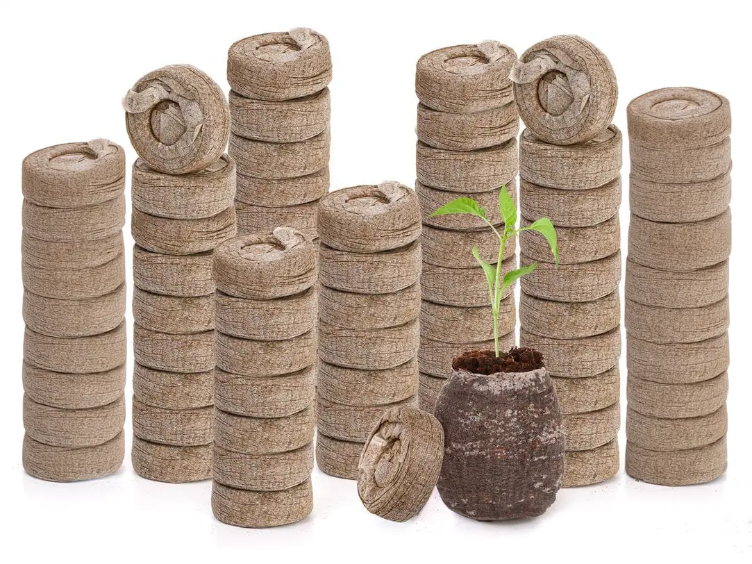Coir Coin Disc